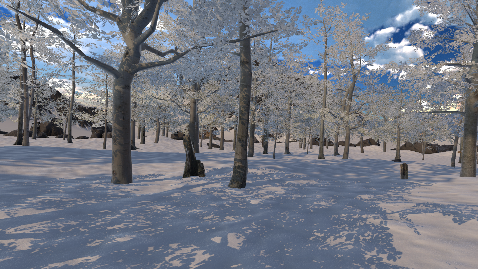 Cold environment forest
