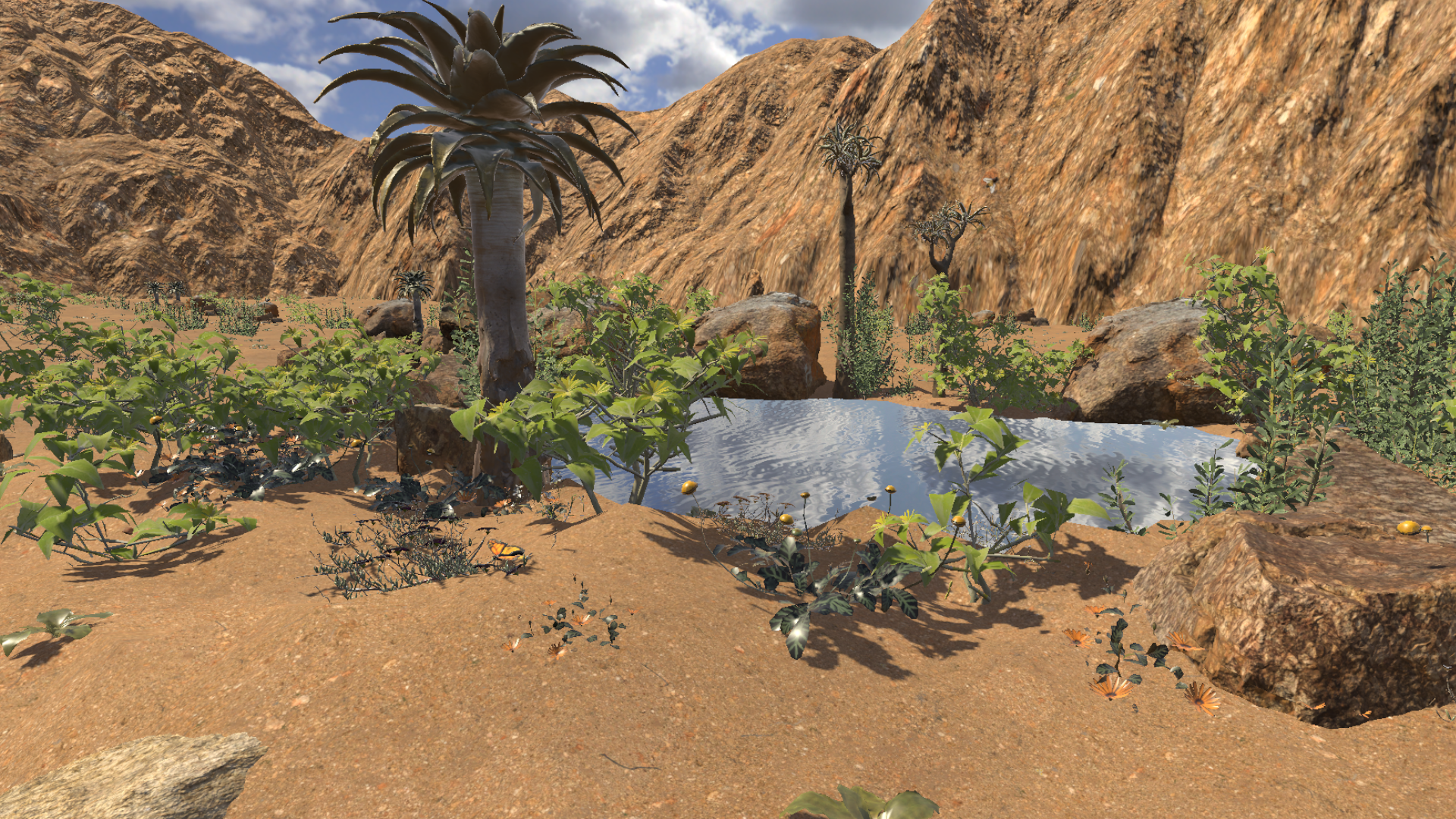 Shady oasis in the warm environment