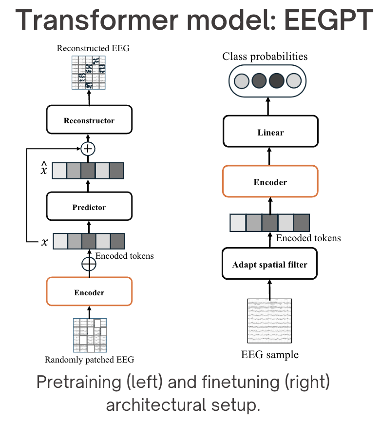Architecture overview of EEGPT